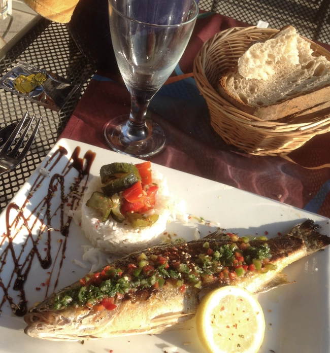 A wonderful mackerel lunch in one of the many tourist spots of isle sur la sorgue